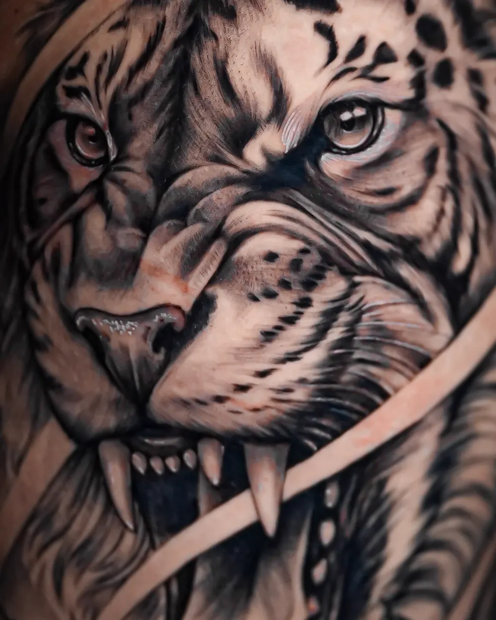 Roaring tiger with rose — black & grey realism tattoo on the upper arm, by Foenix Ink, Hollywood FL (2/2)